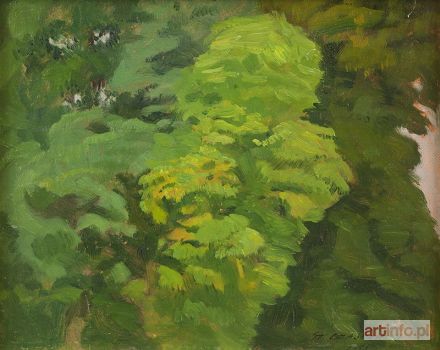 CZAJKOWSKI Stanisław | Drzewa w Kaliszanach I, 1953