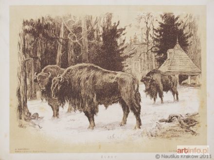 KAMIEŃSKI Antoni | Żubry, 1912
