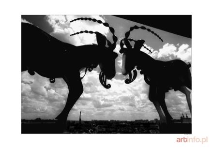 KAMIŃSKI Tomasz | Koziołki, 2001 r.