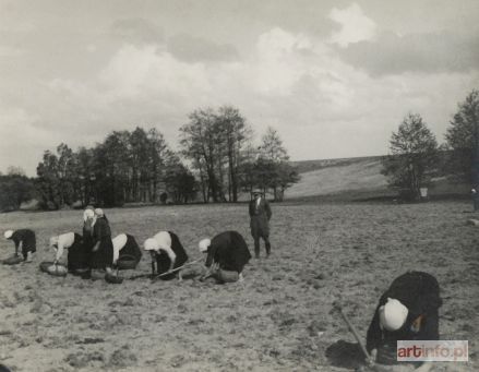 KIETLIŃSKA Maria | Wykopki