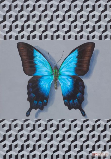 SPRYSZYŃSKI Michał | P. pericles, 2019
