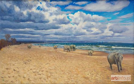 PODLODOWSKI Jakub | Słonie na plaży w Brzeźnie, 2015 r.