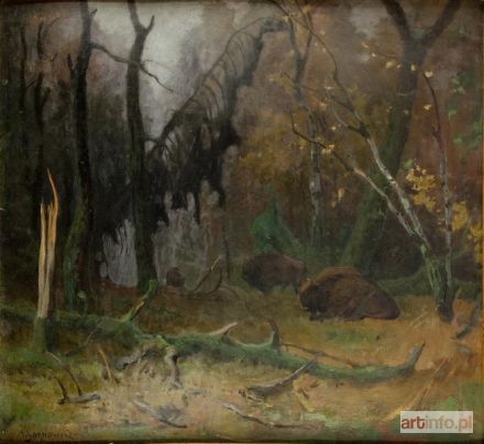 SARNOWICZ Aleksander | Żubry w puszczy, 1935 r.