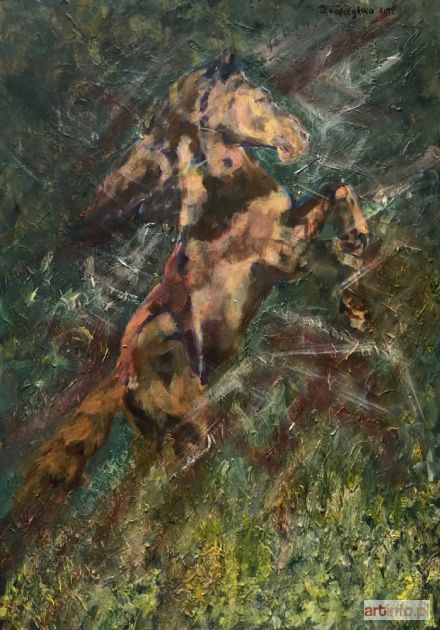 KAPCZYŃSKA Dominika | Dynamiczny koń (2019)