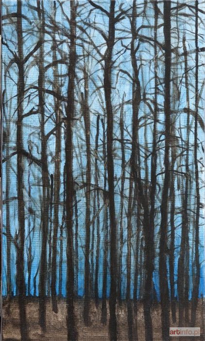 KOSIN Juliusz | Bez tytułu, 2011 r.