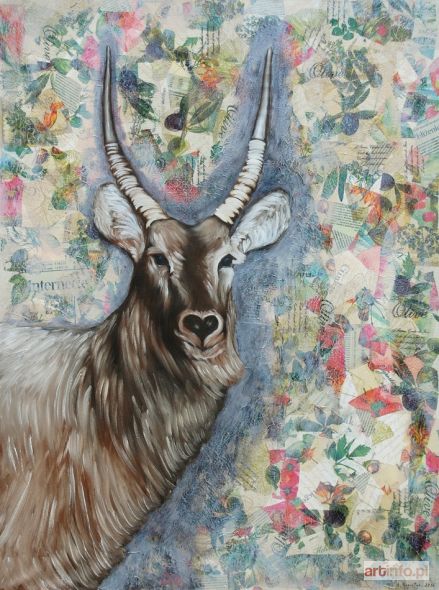 AUGUSTYN Amelia | Antylopa, 2016