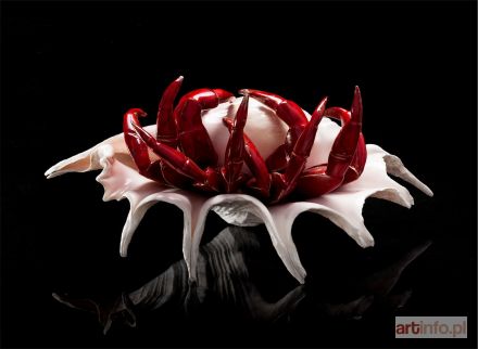 ŚLIWA Aneta | Krab, 2017