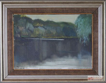 BAJ Stanisław | Cisza nad jeziorem