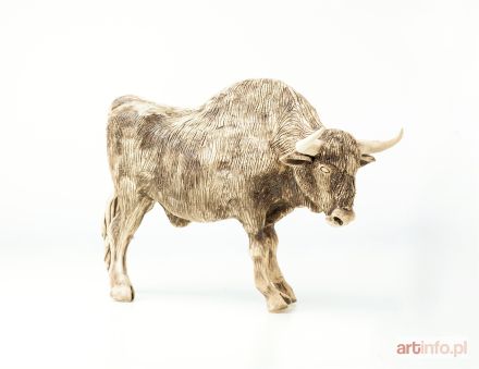 ŚLIWA Aneta | Żubr, 2017