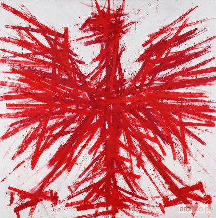 MUSIAŁ Tomasz | Orzeł czerwony, 2010/ 2011