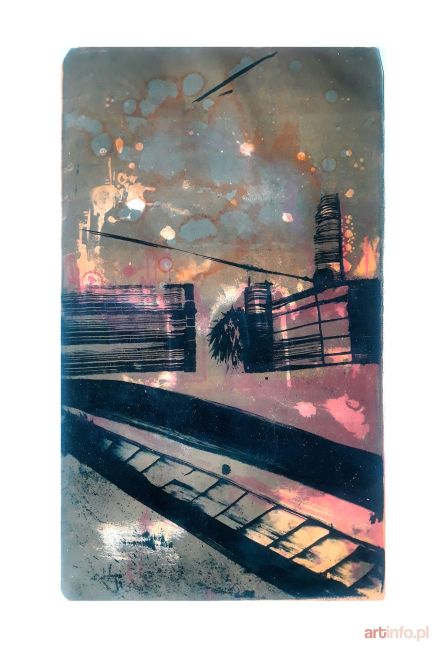 KOT Alicja | Wylewająca się rzeczywistość, 2019