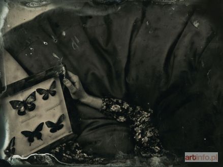 STANISZEWSKA Panda Aleksandra | bez tytułu, 2014