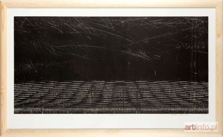 GERTCHEN Agata | Wirowanie I, 2009 r.