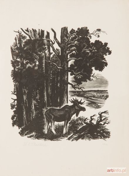 OSTOJA-CHROSTOWSKI Stanisław | Łoś, 1936 r.