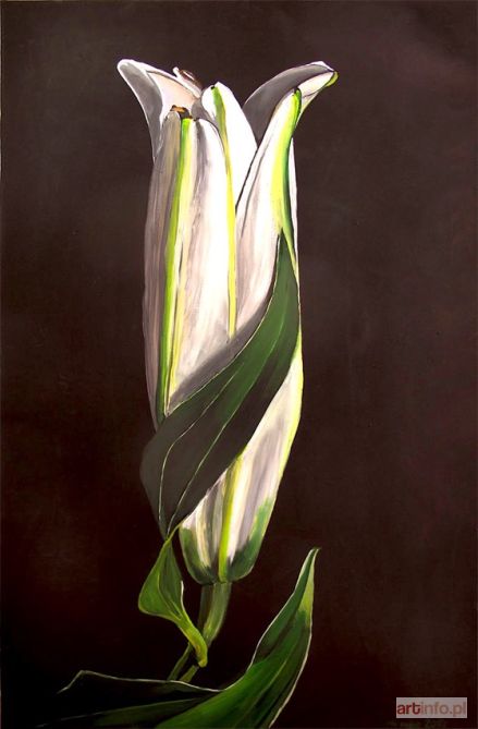 NO NAME (pseud.) | 016. Lilium, 2018 r.