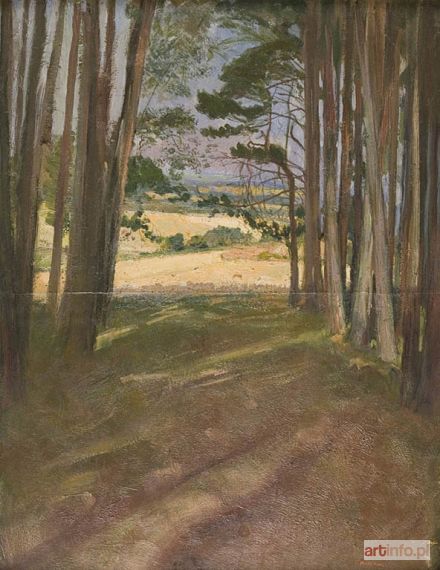 MARKOWICZ Artur | LAS, 1904 (?)