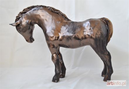 ŚLIWA Aneta | Złoty koń, 2017