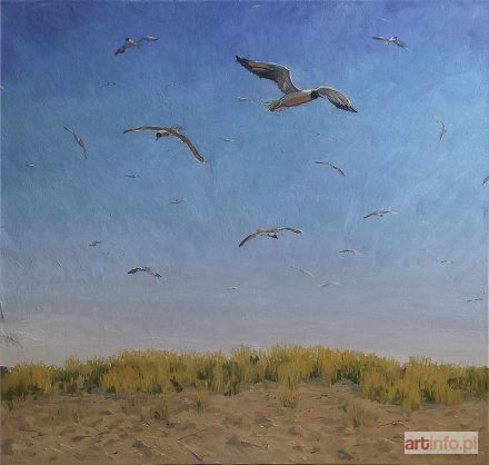 PODLODOWSKI Jakub | Mewy, 2015