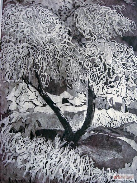HUMIENNA Krystyna | Hiszpańskie drzewo, 1998