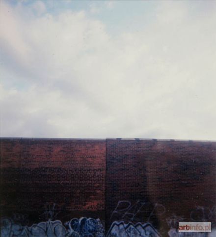 WASILEWSKA Agata | bez tytułu 2, 2006