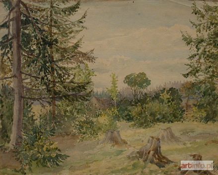 TOMKIEWICZ Zygmunt | Las, 1927