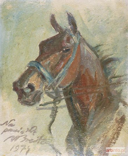BREINTENWALD Roman Antoni | Głowa konia, 1974