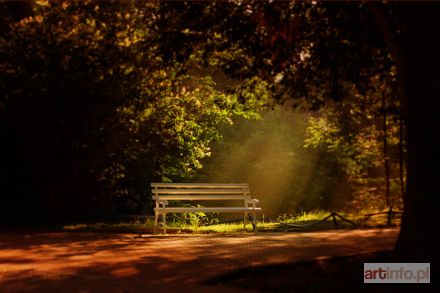 PRZYBYSZ Anna Edyta | Śniło mi się