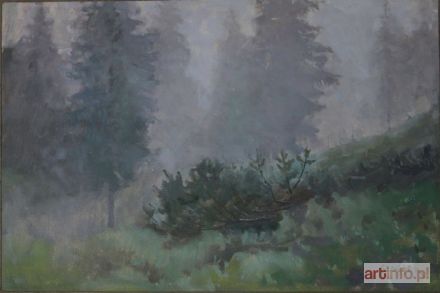 GAŁEK Stanisław | Krzew kosodrzewiny[Mgła w Tatrach]