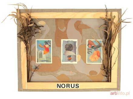 NOWACKA Antonina | Norus, 2017