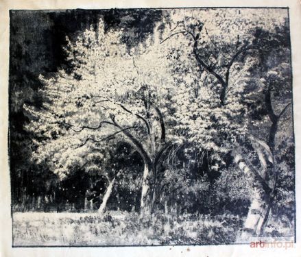 WYCZÓŁKOWSKI Leon | Kwitnące jabłonie w Gościeradzu (1933)