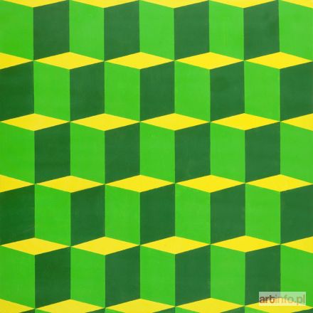 CAMPIO  | Optical multiplication, 2015 r.