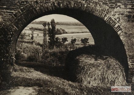 PRZYPKOWSKI Tadeusz | Widok