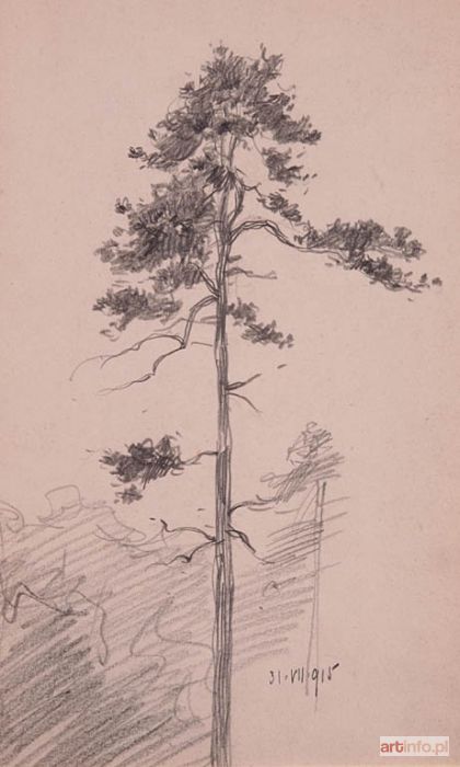 SAWICZEWSKI Stanisław | Sosna, 1915 r.