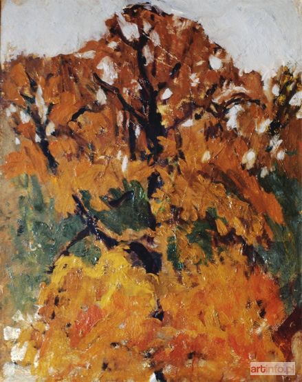 CZAJKOWSKI Stanisław | Drzewo jesienią