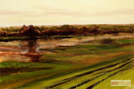 PRAŻMOWSKI Piotr | Moczary, 2012 r.