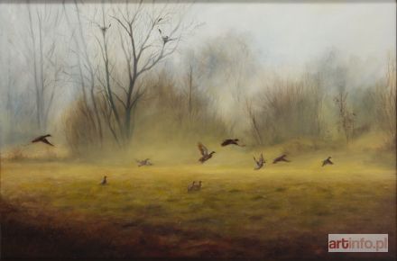 KRUSZYŃSKA-MIKULSKA Patrycja | Dzikie kaczki, 2015 r.