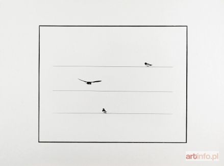 MROCZEK Andrzej Artur | Jaskółki