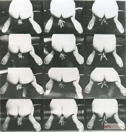 GRETTA Sarfaty, Marchant, Grzywacz | Journal intime d`une femme (1976)