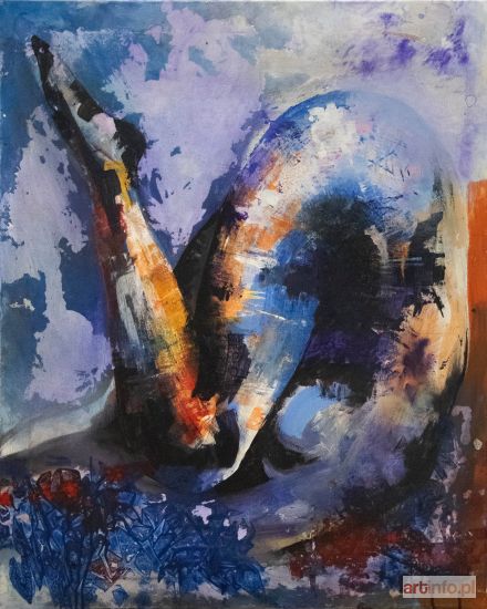 ŚWIGULSKA-JOP Vanessa | Kosmiczny aerobik, 2019