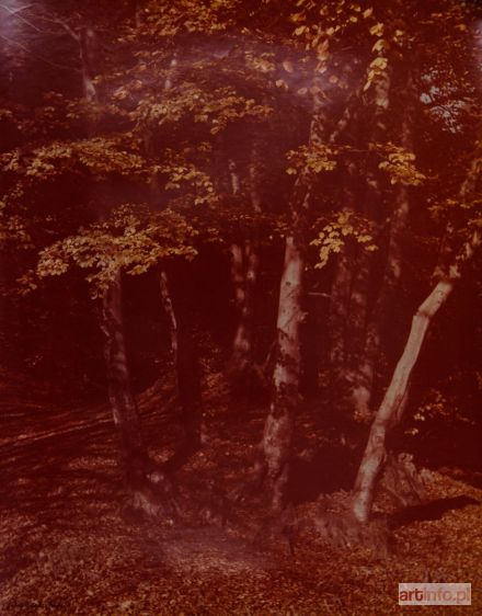 DYGASIEWICZ Jerzy | BUKI, ok. 1965