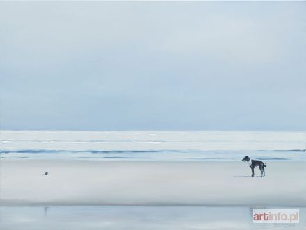 ŚRODOWSKA Katarzyna | Odbicia, 2017 r.