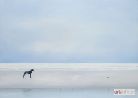 ŚRODOWSKA Katarzyna | Trzy białe, 2017 r.
