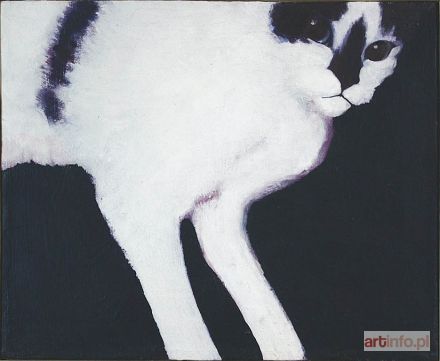 BĘC Dominika | Kot, 2008