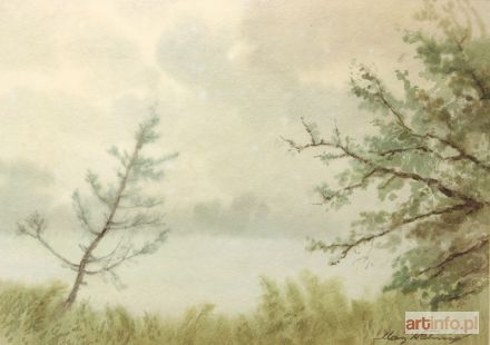 NEHRING Maciej | Drzewa wiosną
