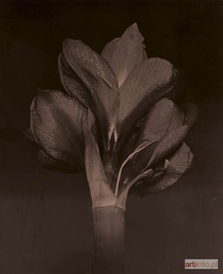 ŻAK Paweł | bez tytułu (neg. Nr 180/14), 1999