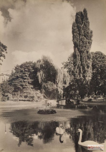 KOLOWCA Stanisław | Plantacje of Cracow, 1934