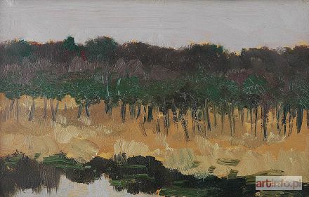 GORSTKIN-WYWIÓRSKI Michał | Na skraju lasu (pejzaż streficzny), 1895